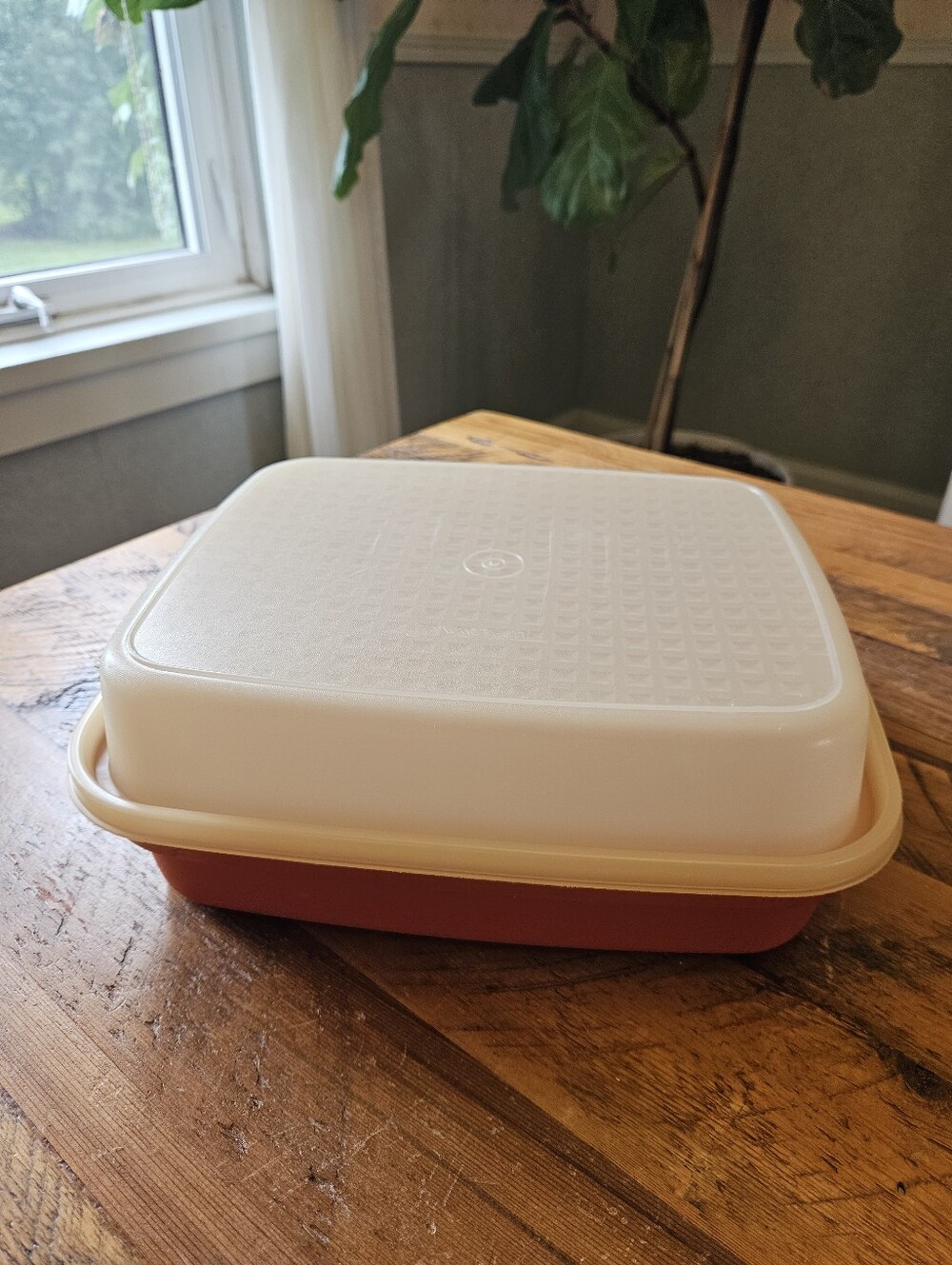 Vintage Tupperware Marinating Container